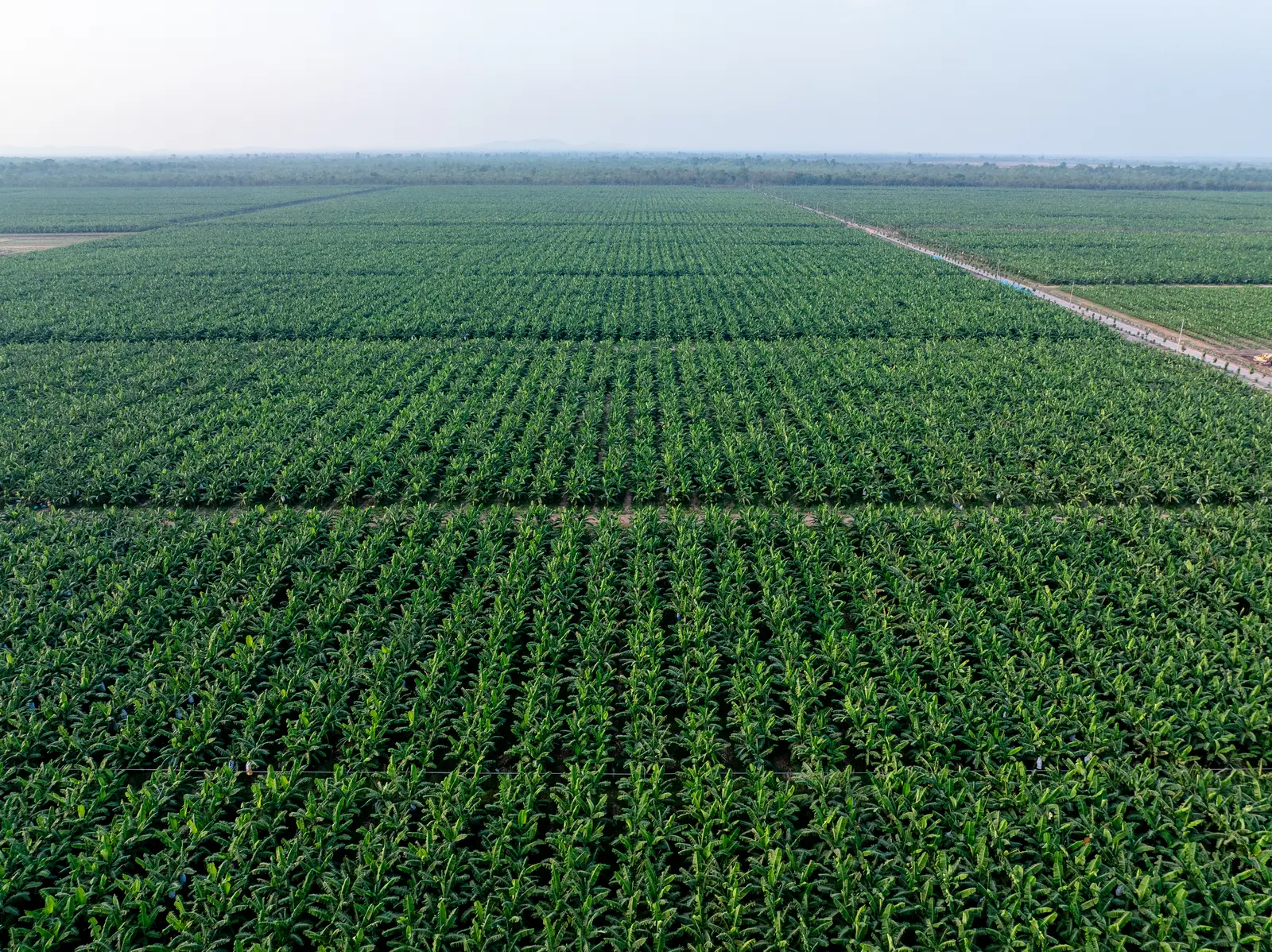 Circular agriculture turns crop residues into organic fertiliser