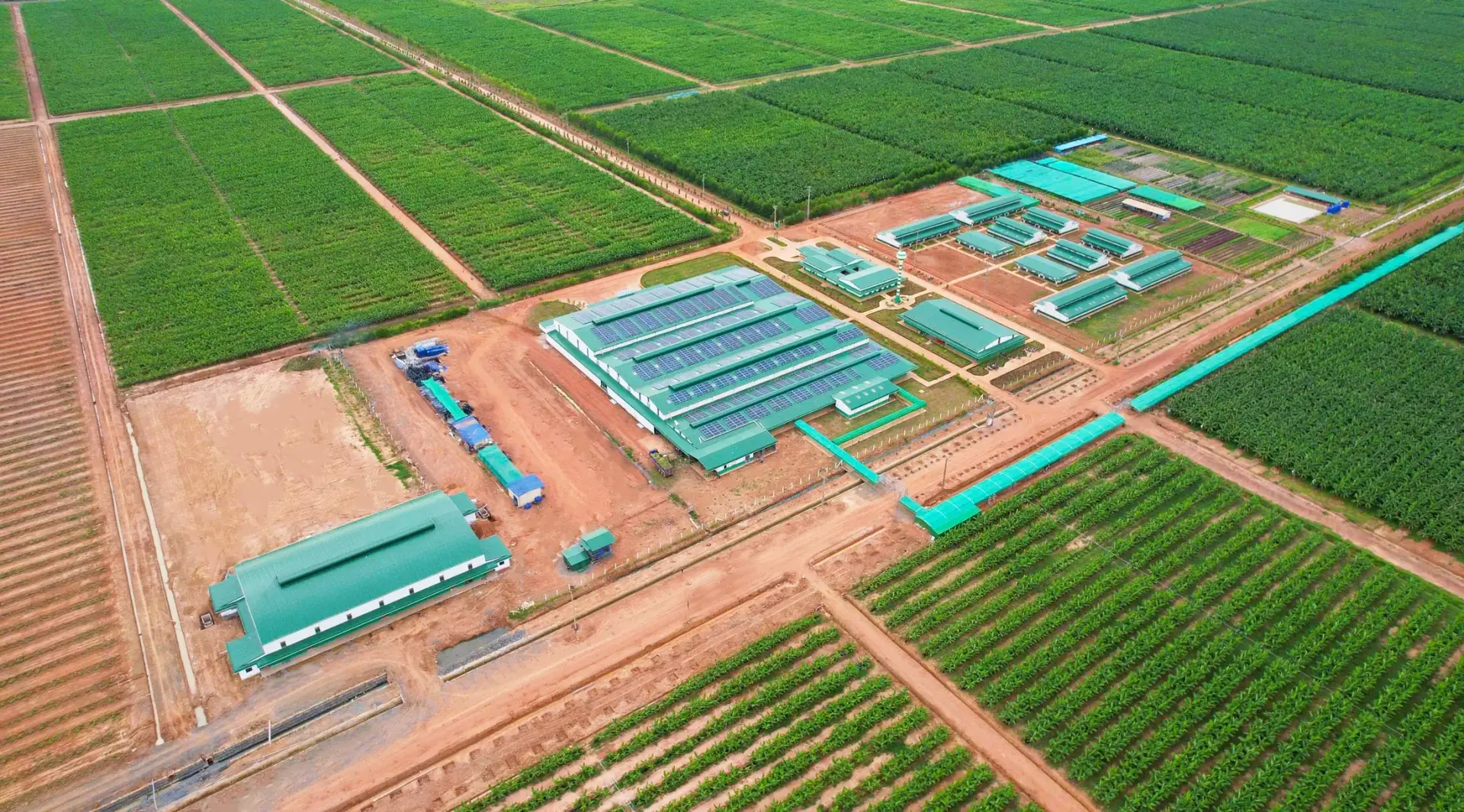 GuarantCo guarantees USD 50 million bond issued by Daun Penh Agrico